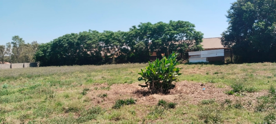 0 Bedroom Property for Sale in Riversdale Gauteng