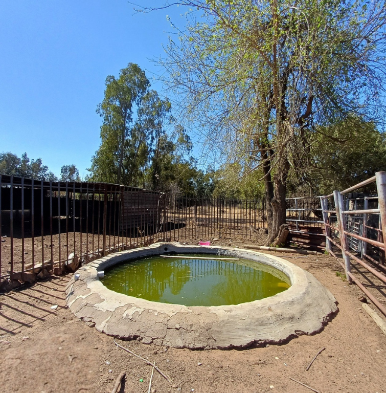 2 Bedroom Property for Sale in Cooperville Gauteng