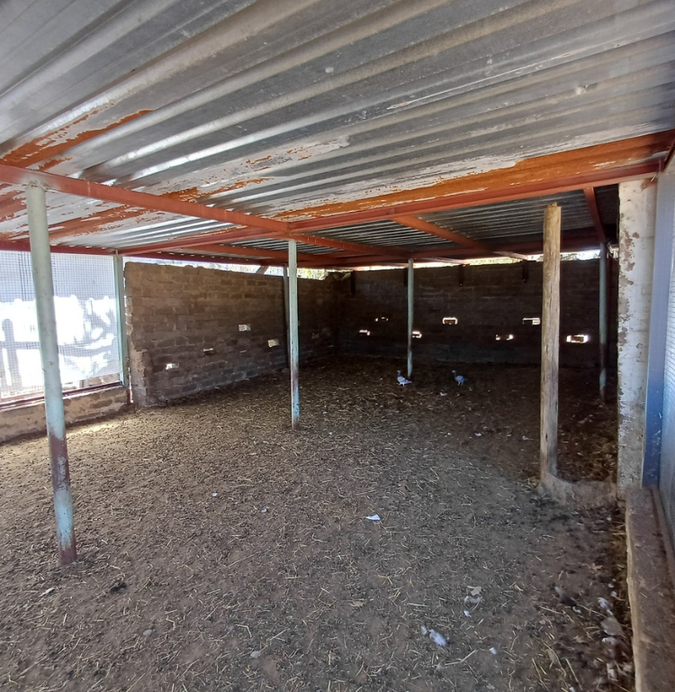 2 Bedroom Property for Sale in Cooperville Gauteng