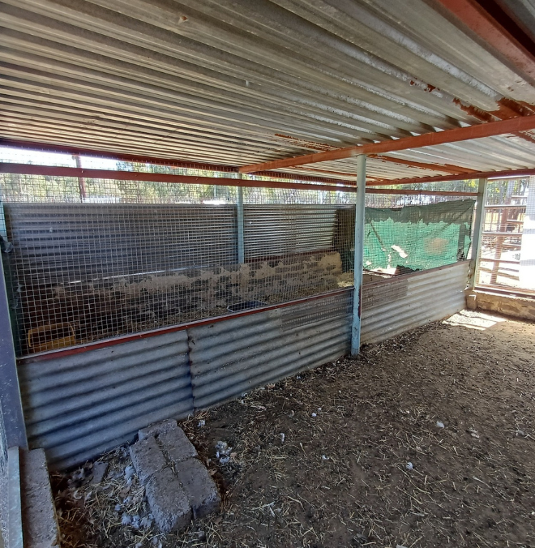 2 Bedroom Property for Sale in Cooperville Gauteng