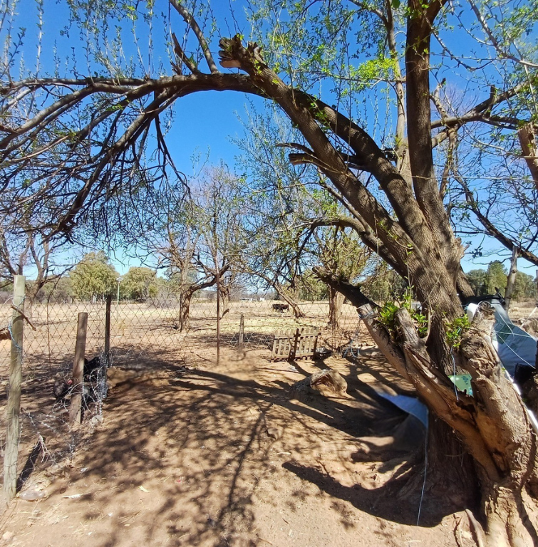 2 Bedroom Property for Sale in Cooperville Gauteng