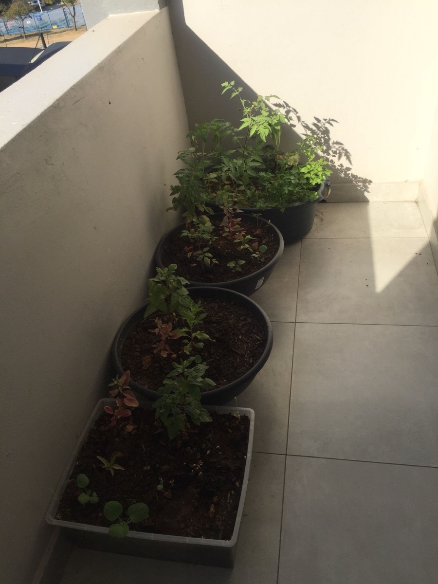 2 Bedroom Property for Sale in Carlswald Gauteng