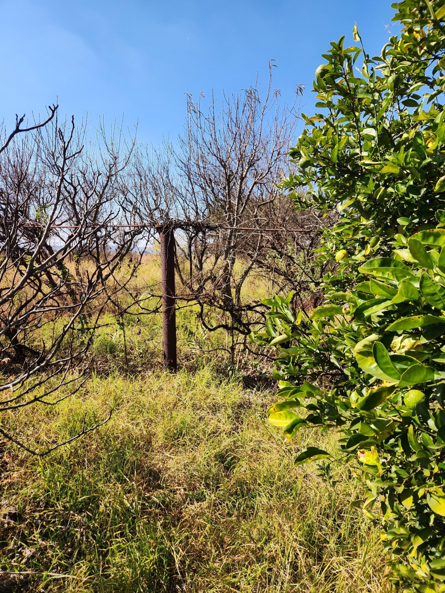 7 Bedroom Property for Sale in Doornkraal Gauteng