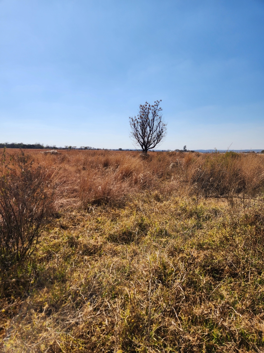7 Bedroom Property for Sale in Doornkraal Gauteng