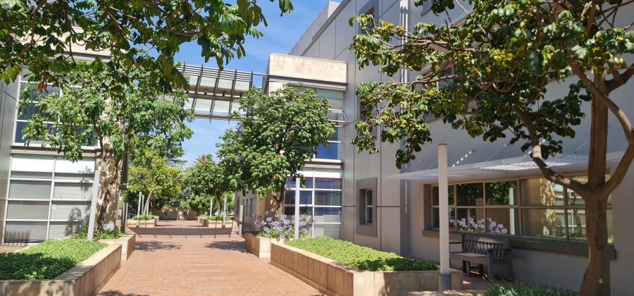 To Let Commercial Property for Rent in Woodmead Gauteng