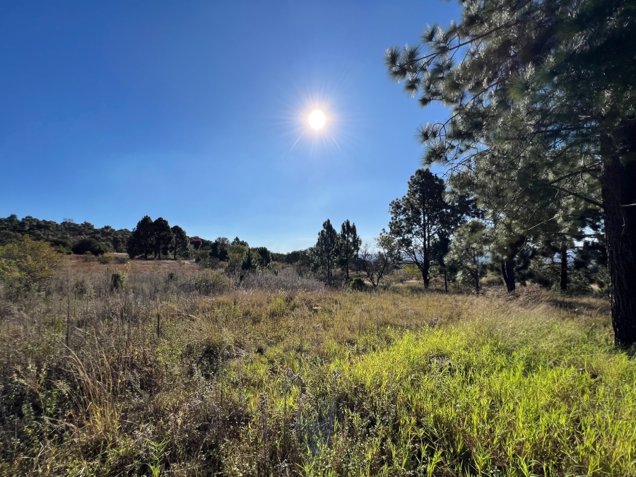 0 Bedroom Property for Sale in Eikenhof Gauteng