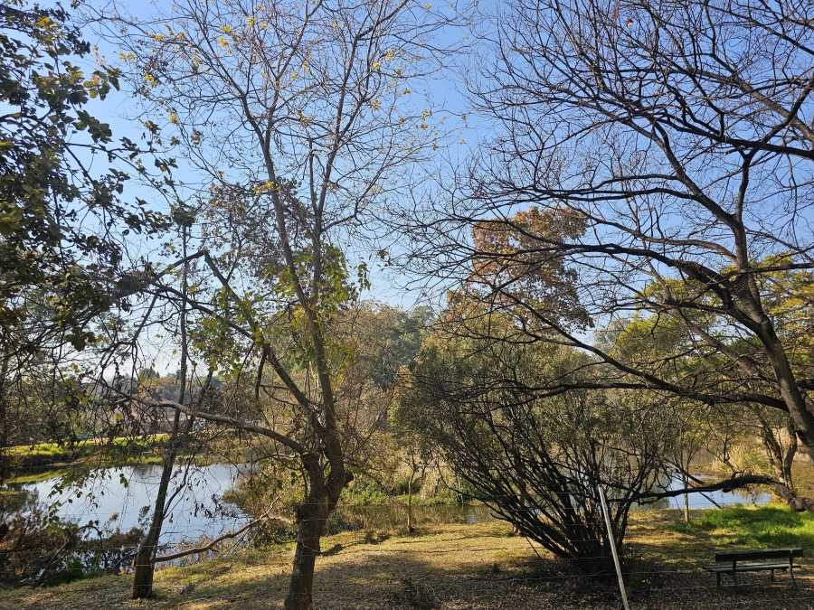 To Let 1 Bedroom Property for Rent in President Ridge Gauteng