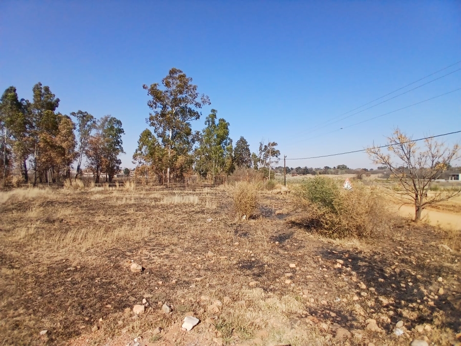 0 Bedroom Property for Sale in Henley on Klip Gauteng