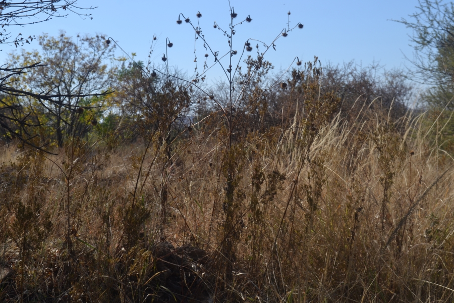 0 Bedroom Property for Sale in Hesteapark Gauteng