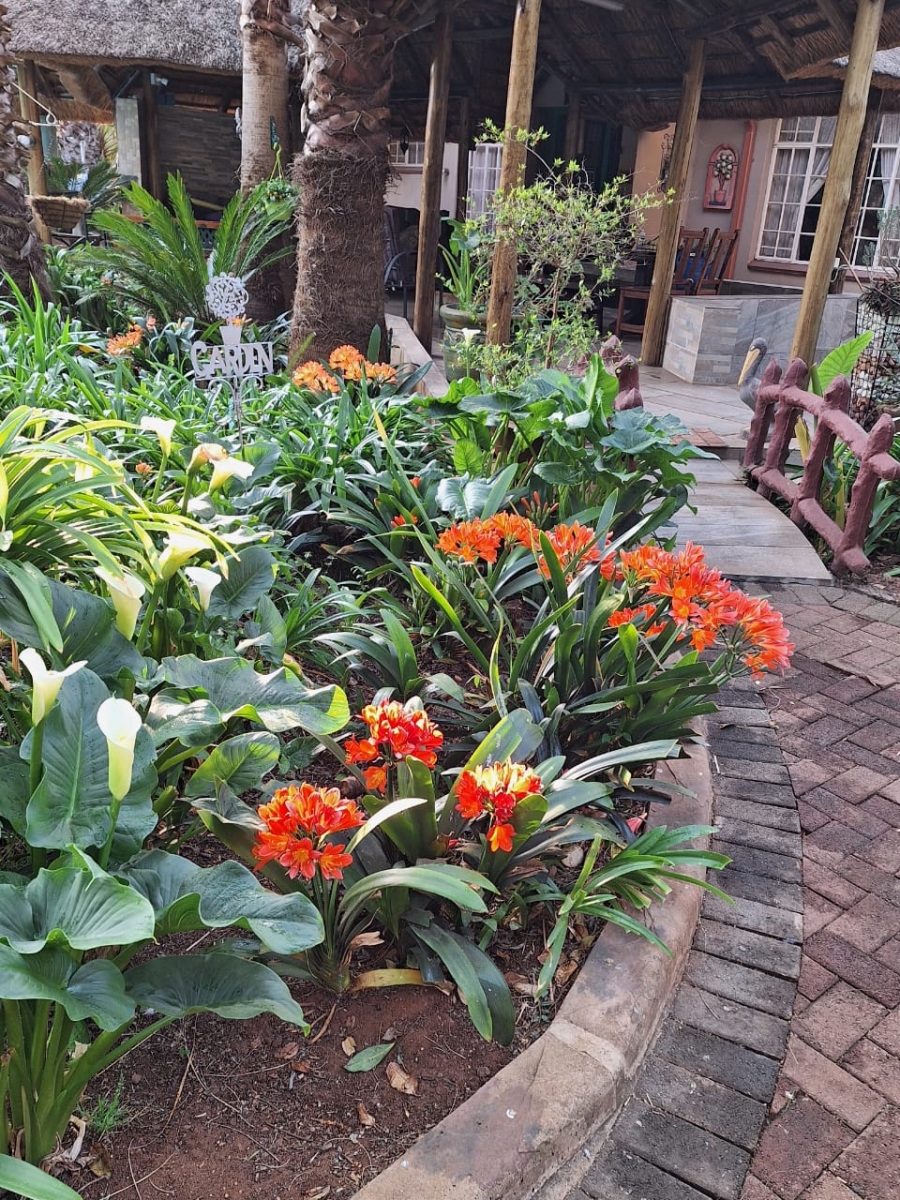 3 Bedroom Property for Sale in Henley on Klip Gauteng