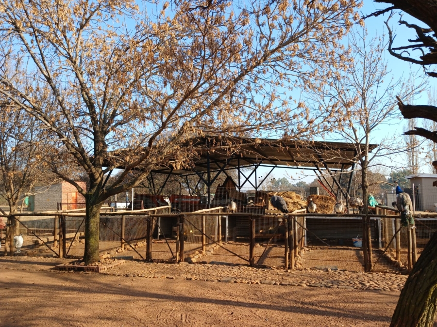 3 Bedroom Property for Sale in Sherman Park Gauteng