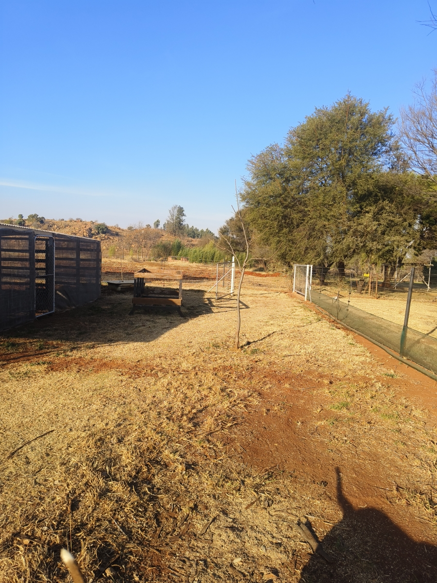 3 Bedroom Property for Sale in Lewzene Estate Gauteng