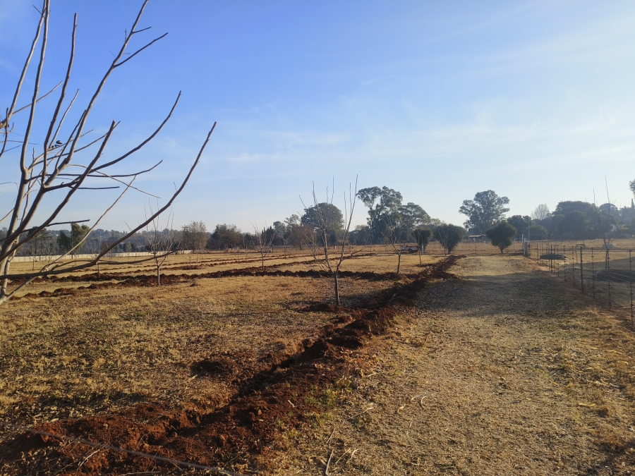 3 Bedroom Property for Sale in Lewzene Estate Gauteng