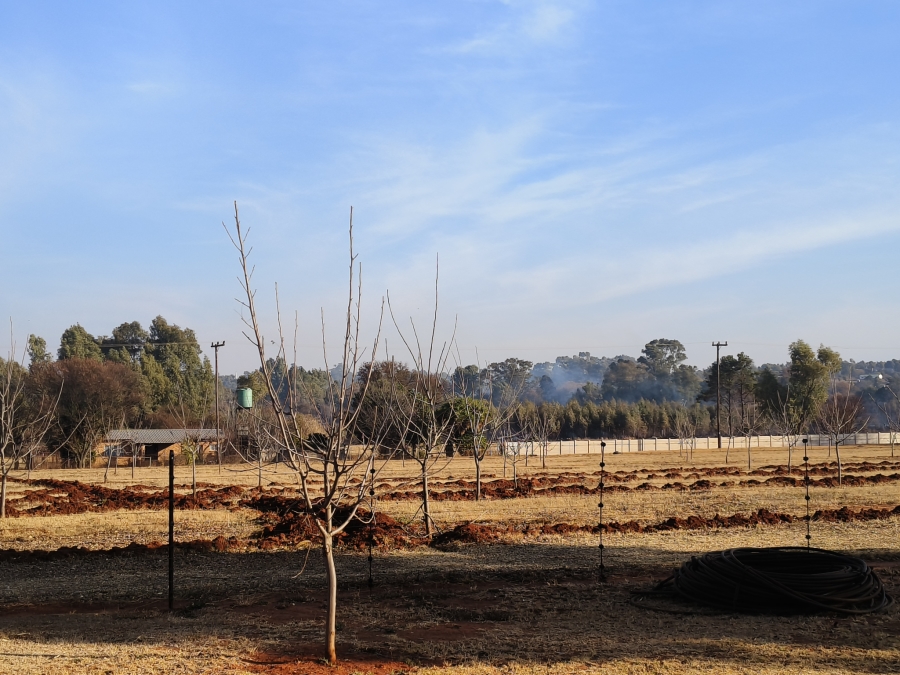 3 Bedroom Property for Sale in Lewzene Estate Gauteng