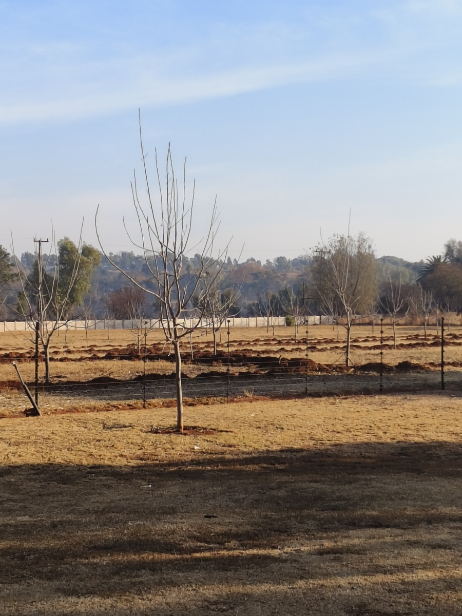 3 Bedroom Property for Sale in Lewzene Estate Gauteng