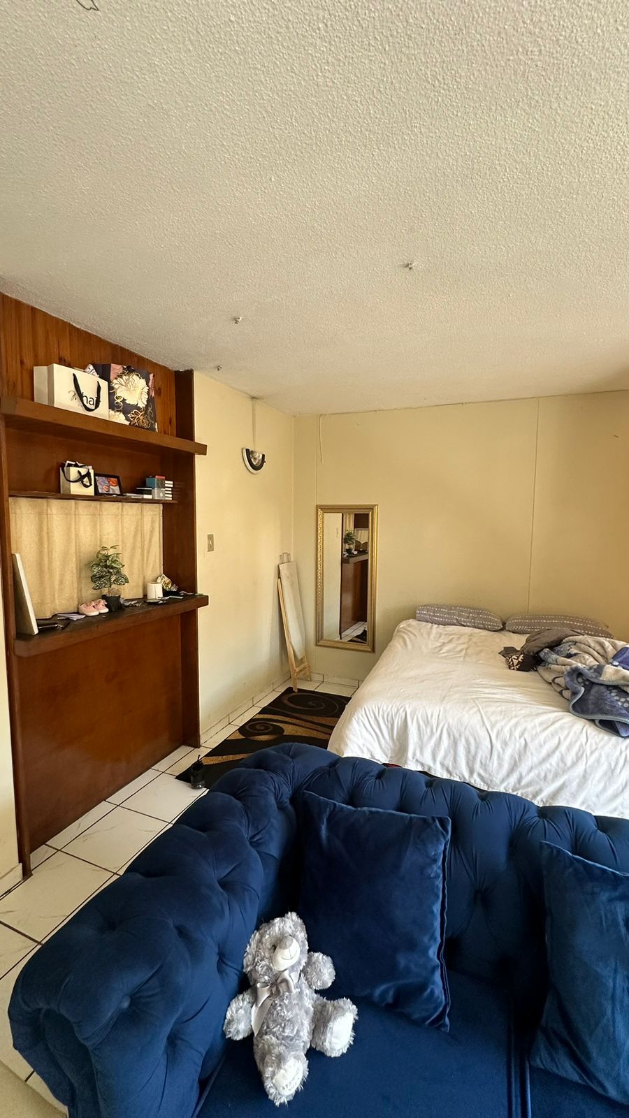 0 Bedroom Property for Sale in Sunnyside Gauteng
