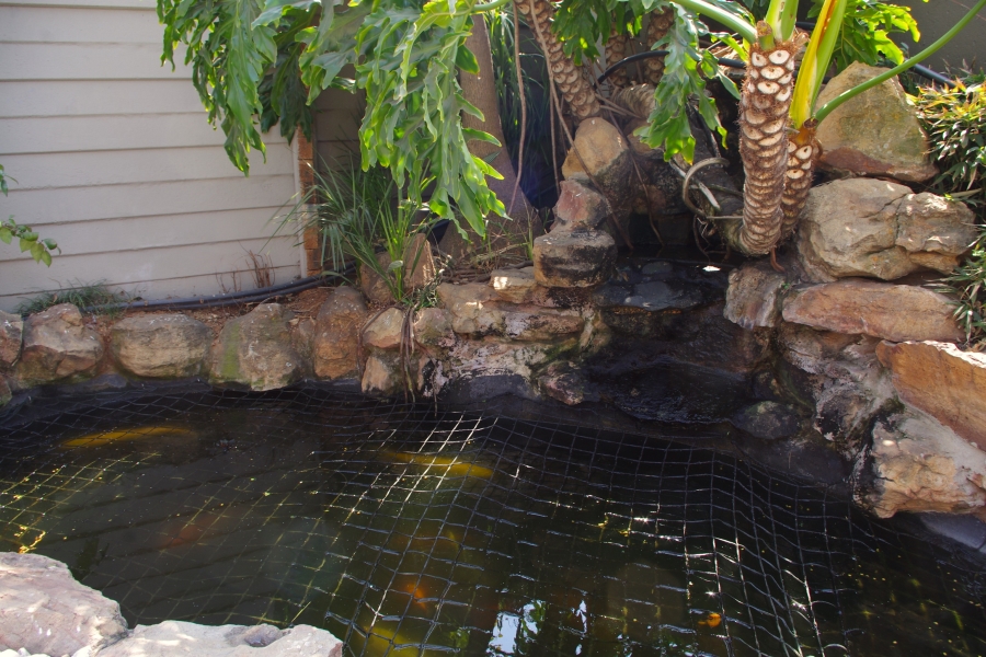 6 Bedroom Property for Sale in Sunward Park Gauteng