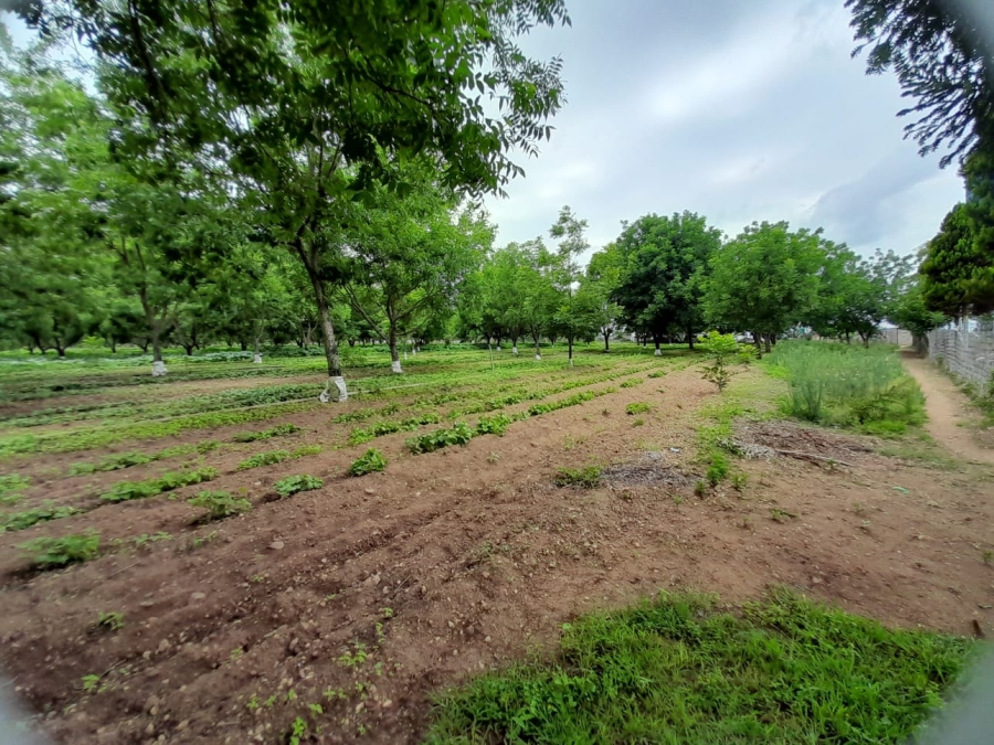 7 Bedroom Property for Sale in Pretoria North Gauteng