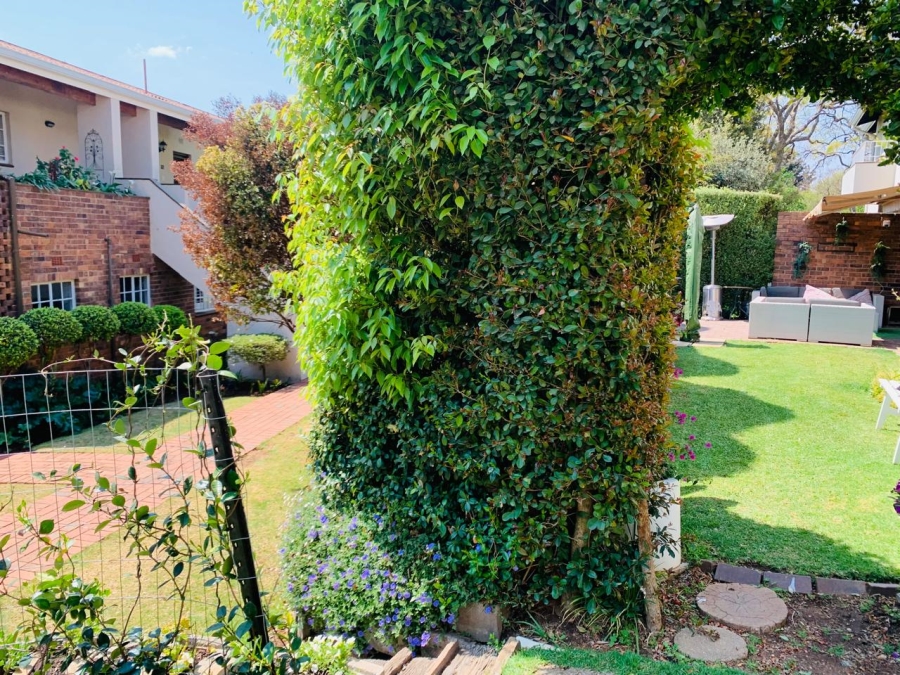 To Let 3 Bedroom Property for Rent in Sandown Gauteng