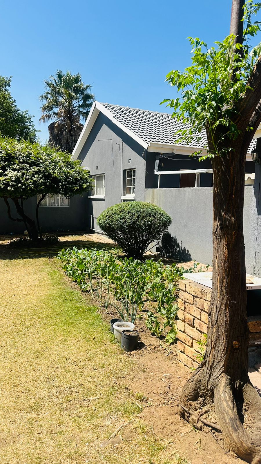 1 Bedroom Property for Sale in President Park Gauteng
