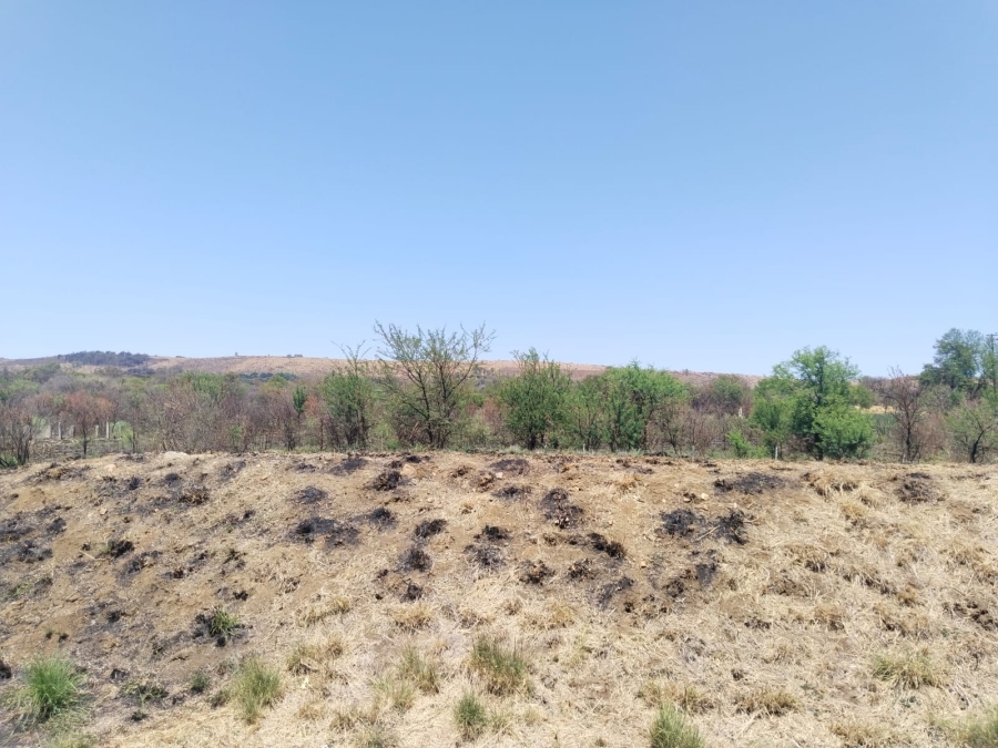 0 Bedroom Property for Sale in Doreg A H Gauteng