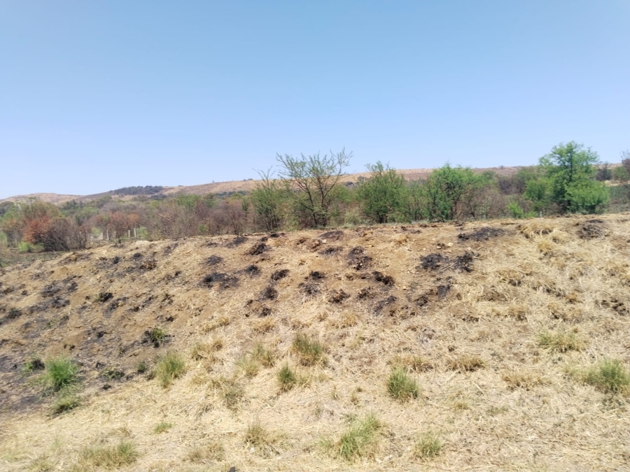0 Bedroom Property for Sale in Doreg A H Gauteng