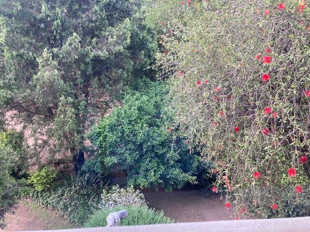 To Let 2 Bedroom Property for Rent in Oerderpark Gauteng