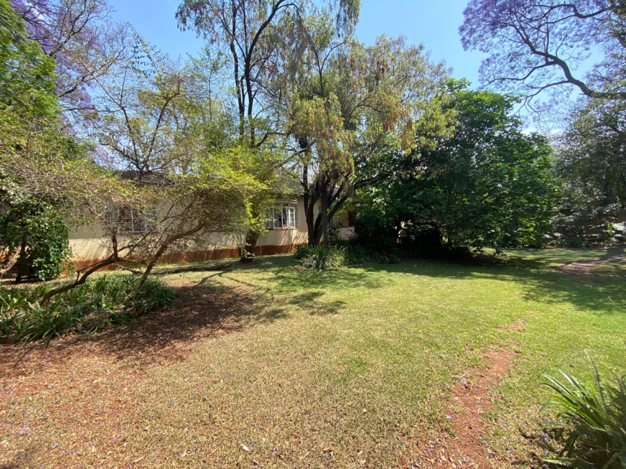 To Let 4 Bedroom Property for Rent in Brooklyn Gauteng