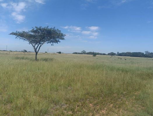 2 Bedroom Property for Sale in Cullinan Gauteng