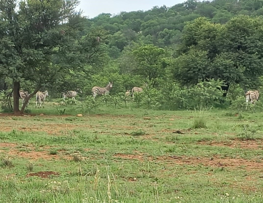 3 Bedroom Property for Sale in Meyerton Rural Gauteng