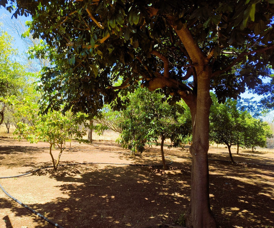 2 Bedroom Property for Sale in Klipdrif AH Gauteng