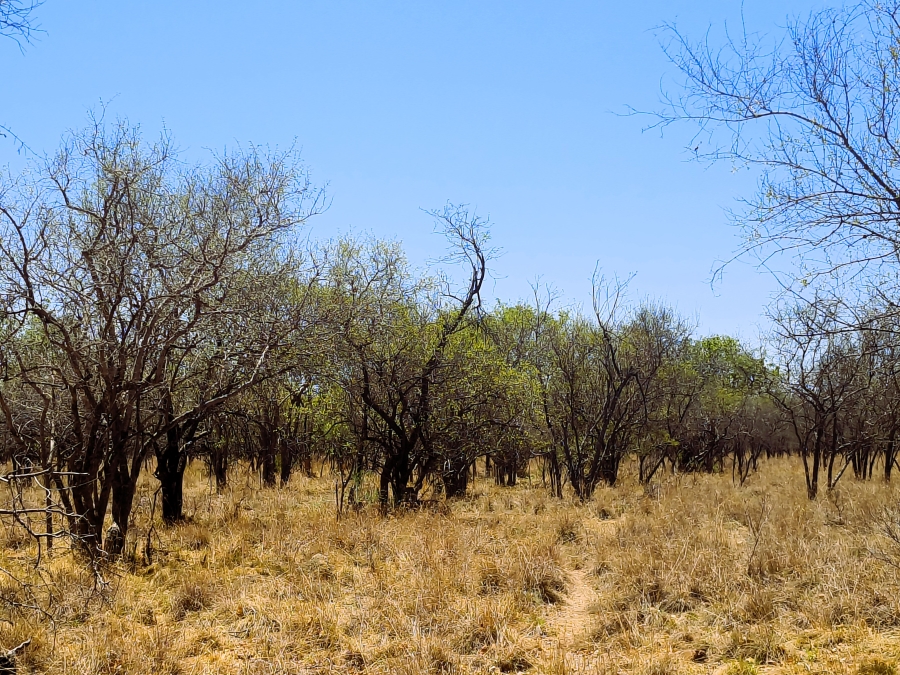 2 Bedroom Property for Sale in Klipdrif AH Gauteng