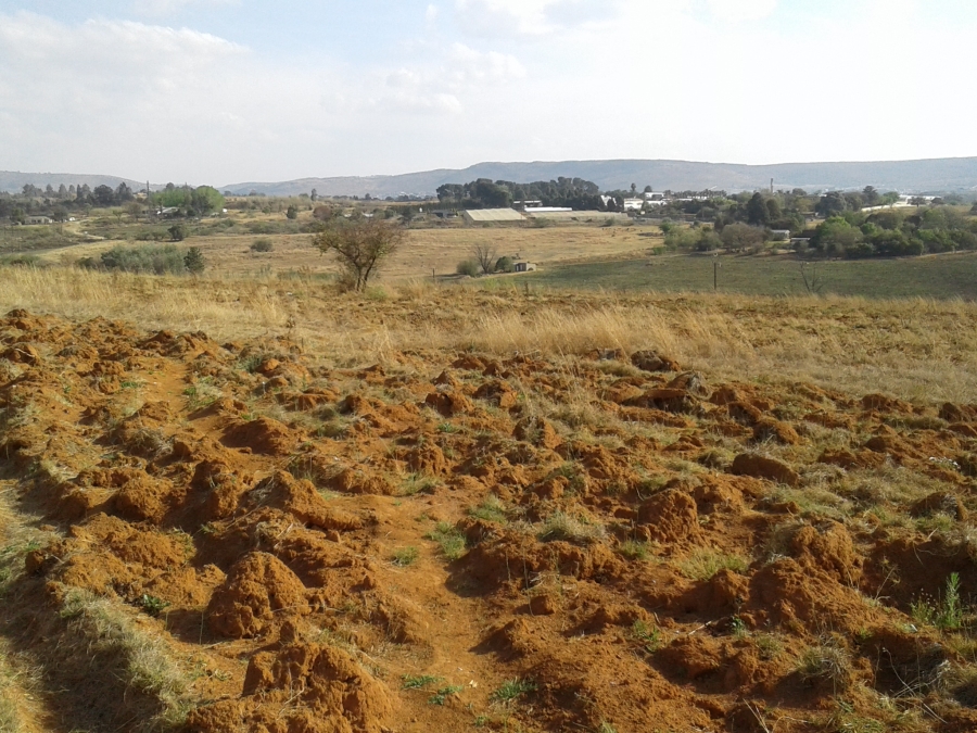 0 Bedroom Property for Sale in Muldersdrift Gauteng