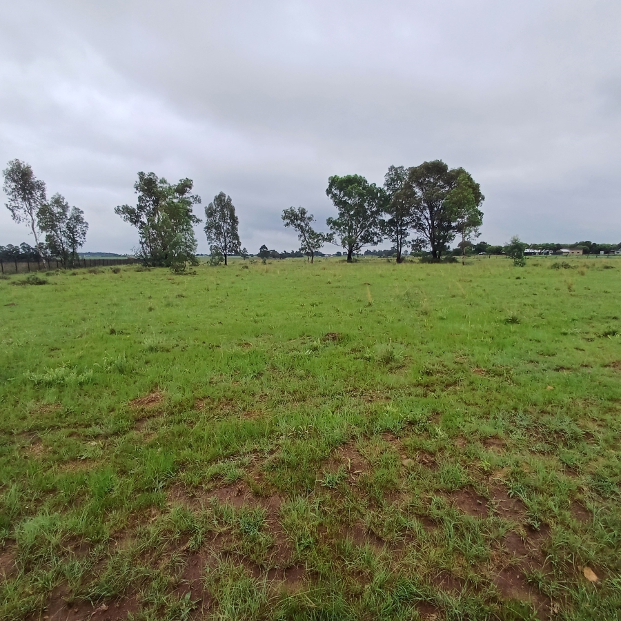 0 Bedroom Property for Sale in Sherman Park Gauteng