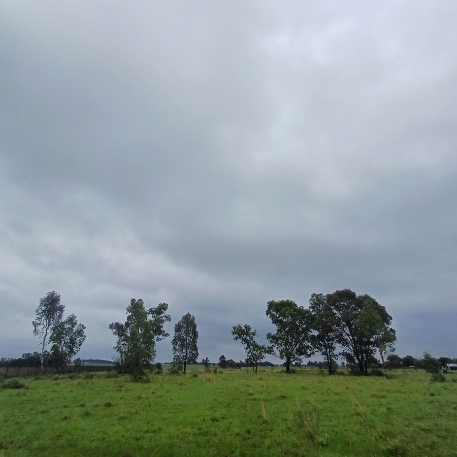 0 Bedroom Property for Sale in Sherman Park Gauteng