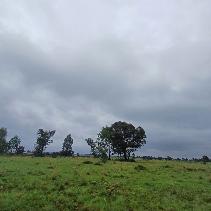 0 Bedroom Property for Sale in Sherman Park Gauteng