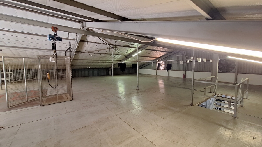 To Let commercial Property for Rent in Robertville Gauteng