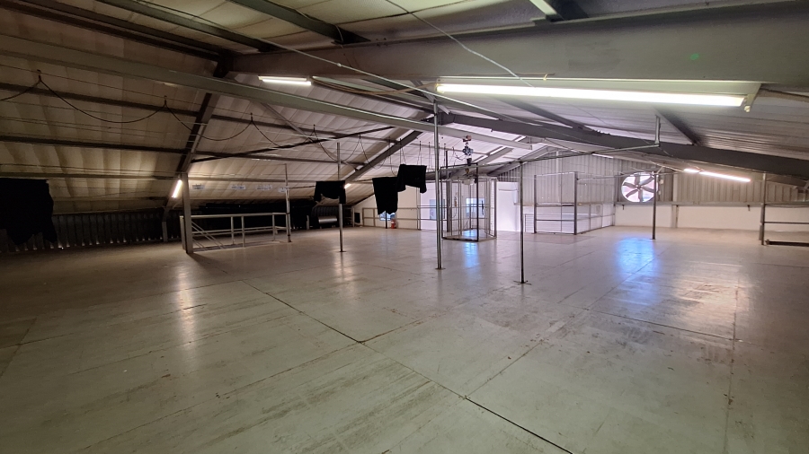 To Let commercial Property for Rent in Robertville Gauteng