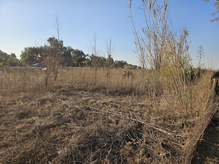3 Bedroom Property for Sale in Henley on Klip Gauteng