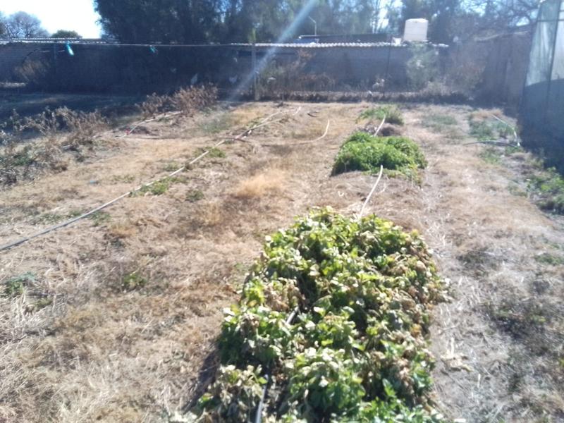 3 Bedroom Property for Sale in Nanescol Gauteng