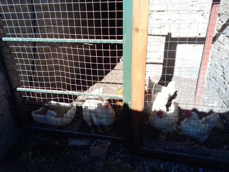 3 Bedroom Property for Sale in Nanescol Gauteng