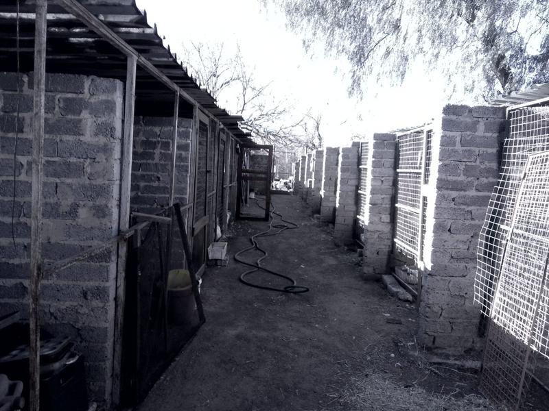 3 Bedroom Property for Sale in Nanescol Gauteng