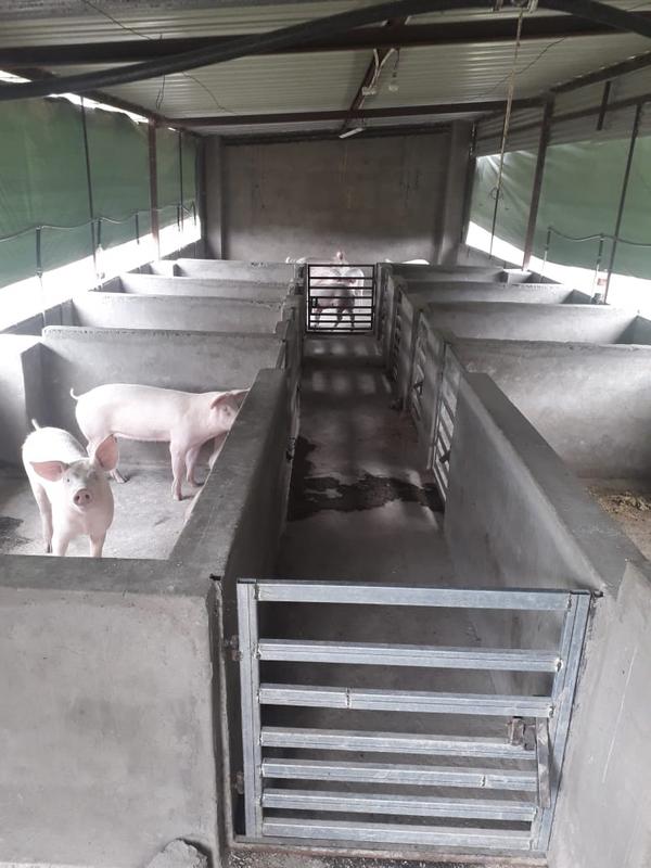 2 Bedroom Property for Sale in Kameeldrift East Gauteng