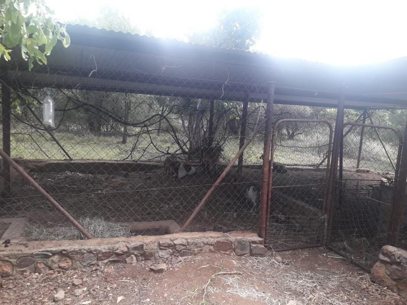 2 Bedroom Property for Sale in Kameeldrift East Gauteng