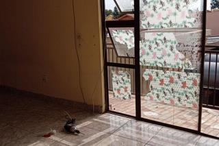 10 Bedroom Property for Sale in Pimville Zone 5 Gauteng