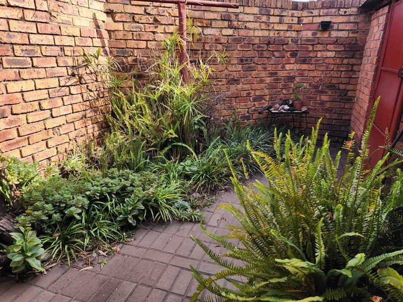 3 Bedroom Property for Sale in Vanderbijlpark Gauteng