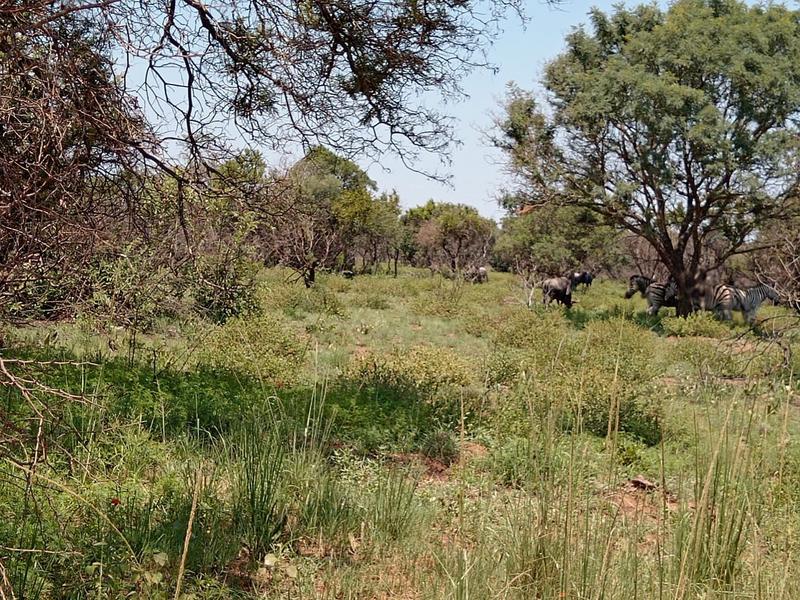 0 Bedroom Property for Sale in Dinokeng Game Reserve Gauteng