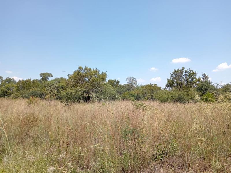 0 Bedroom Property for Sale in Dinokeng Game Reserve Gauteng