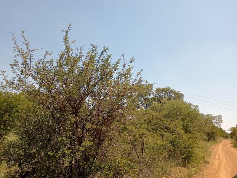 0 Bedroom Property for Sale in Dinokeng Game Reserve Gauteng