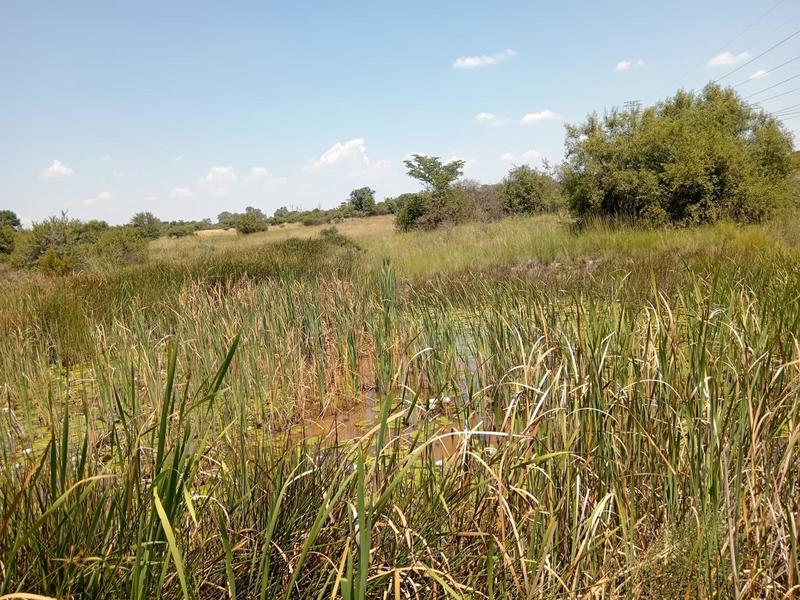 0 Bedroom Property for Sale in Dinokeng Game Reserve Gauteng